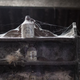 Photo: Matt Cardy/Getty Images